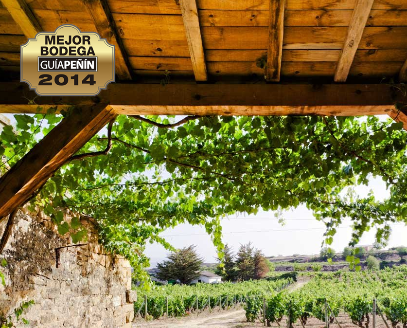 Bodegas y viñedos Artadi elegida mejor bodega 2014 por Guía Peñín