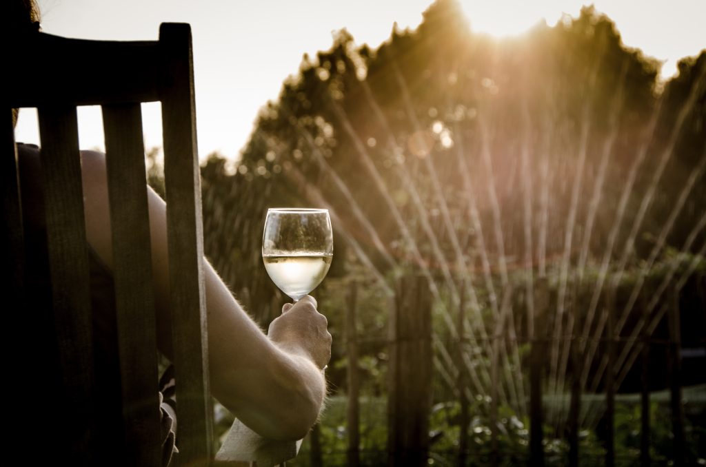 Quand faut-il boire un vin blanc de la Rioja ?